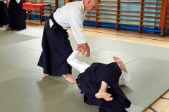 20728268_1247950695309571_2900242830110292474_n